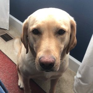 Meet your Posher, Tara